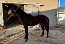 ��Ŭ�Ѱ��� (MUNGKEULHANGAMDONG) ����