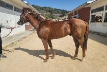 �ϰ���� (ILGANG DAERO) ����