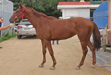 ���÷�� ����