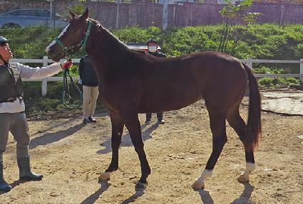 �����̾Ƹ��� ����