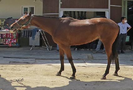 ��ŷ��Űư ����