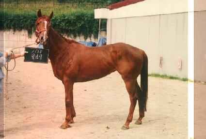 �ɴ��� ����