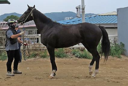 ���������� ����