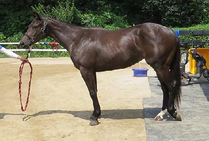 ��ǳ���� ����