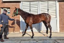 ��������� (HERO J) ����