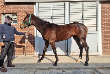 ��������� ����