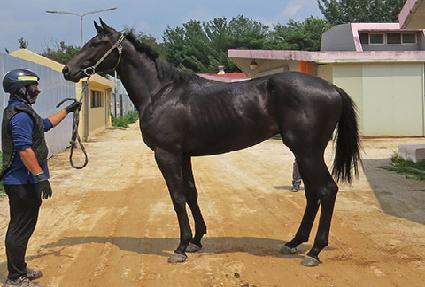 ��Ʈ���̼� ����