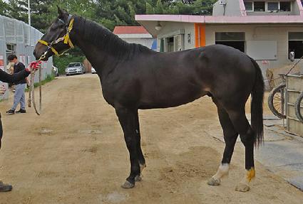 �������� ����