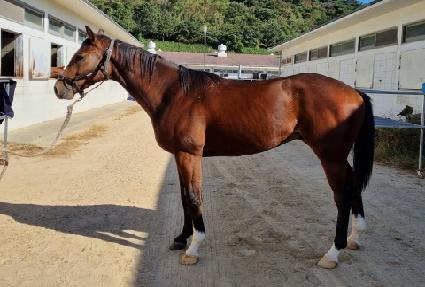 �ϴú��� ����