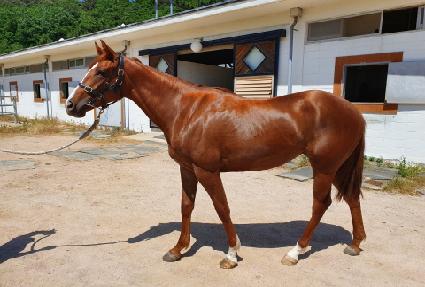 ����°�� ����