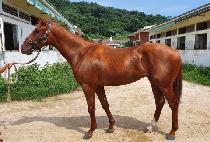 ���Ǻ��� (HAPPY BLUE) ����