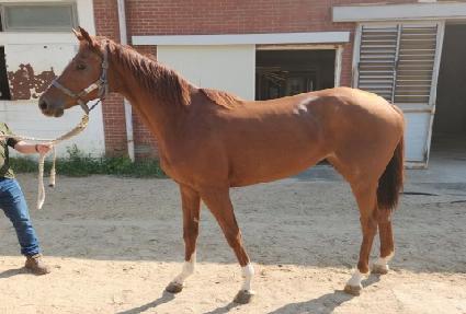 ���� ����