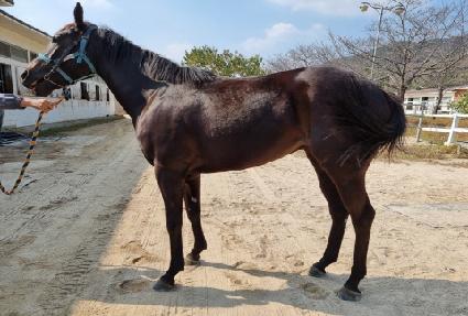 �ε������� ����