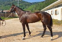 ����帲�� (DARE DREAM DO) ����