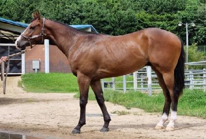 �ε����帲 ����