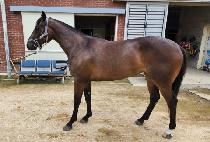 ������ (WIND MORE) ����