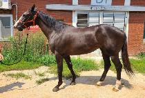 �����¾� (HAPPY TAEYANG) ����