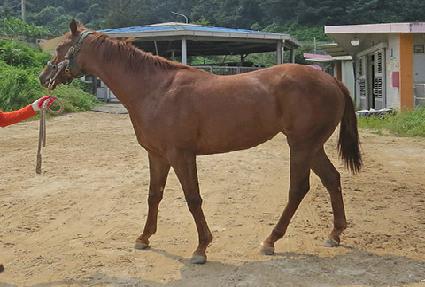 ���м�Ʈ�� ����