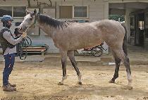 �����̵� (MOONHAK EDEN) ����