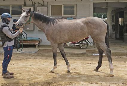 �����̵� ����