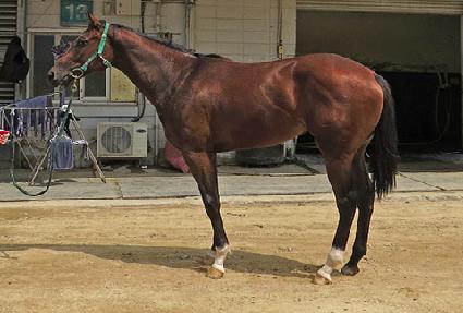 �����̱� ����