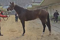 ��ū����Ƽ (ROCK��N��ROLL PARTY) ����