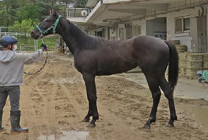 �����׳� ����