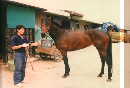 ������ ����