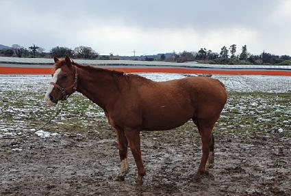 ����ٿ�Ÿ�� ����