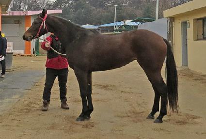 ��ħ���� ����