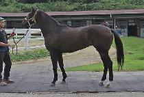 ���� (MYEOLKONG) ����