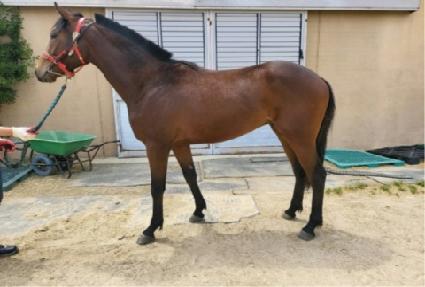 ���ǻ� ����