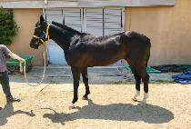 ������ (SEOGYEONG DAERO) ����