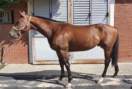 �ض��屺 ����