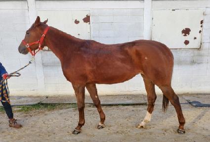 ��ħ����� ����