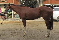 ������ũ (YOU TAKE) ����