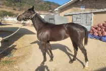 ���������� (WAITING FOR YOU) ����