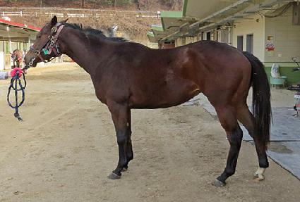 �Ƹ޳� ����