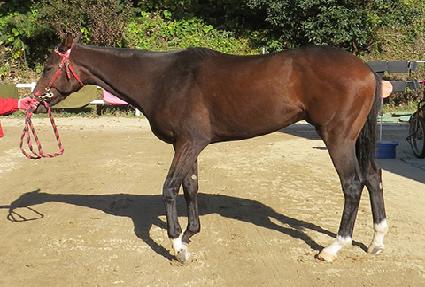 Ž���ְ��� ����