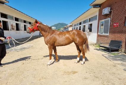 ����è�� ����