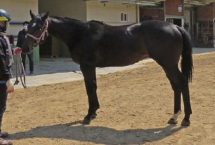 ����¾� ����