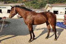 ���̵���� (MADE HEEMANG) ����