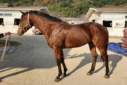 ���̵���� ����