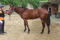 ��´�����Ʈ (RAON THE POINT) ����