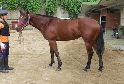 ��´�����Ʈ ����