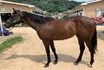 �������� (TOP FRIEND) ����