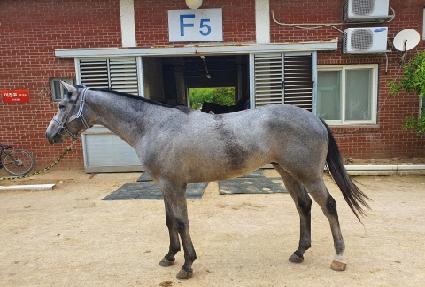 ��´��ʰ� ����