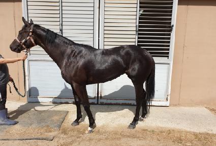 ���°� ����