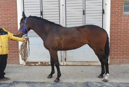 ��Ʈ��Ʈ ����