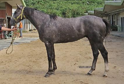 ������ ����